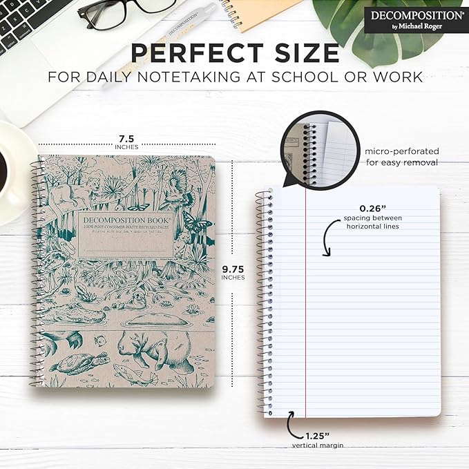 Decomposition 3-Pack Coastal Harmony College Ruled Spiral Notebook - 9.75 x 7.5 Journal, 160 Lined Pages - 100% Recycled Paper - Notebooks for School Supplies, Home & Office - Made in USA