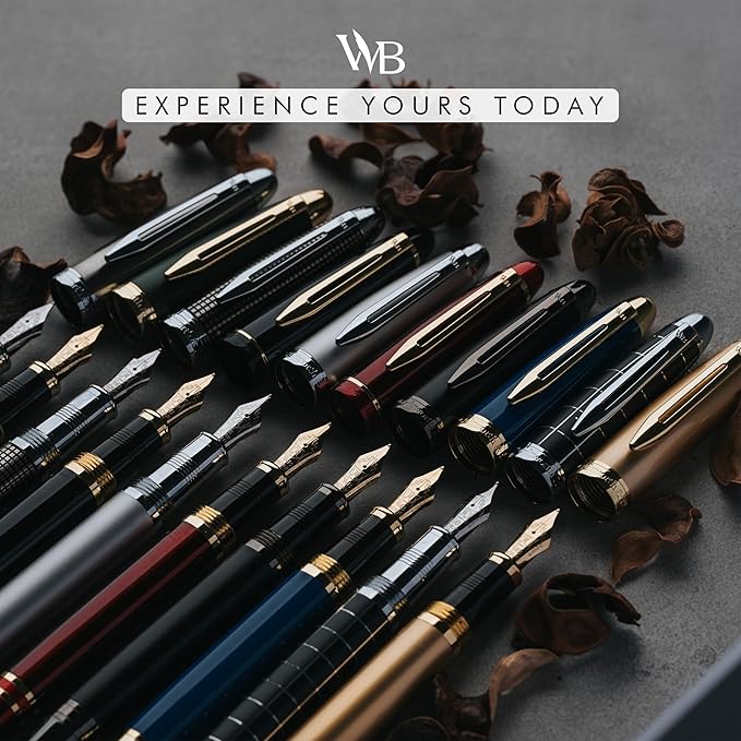 Wordsworth & Black Majesti Fountain Pen-(Black Chrome), Luxury Case, Stainless Steel; Medium Nib- Ink Cartridges, Refillable Ink Converter-Calligraphy Pen-Best Business Gift Set for Men & Women