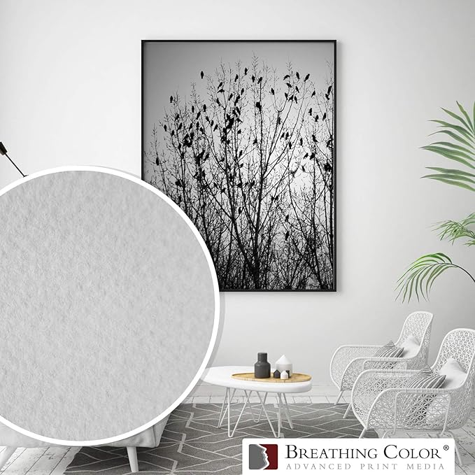 Elegance Velvet 60 in x 40 ft roll is a Premium Matte 310 gsm, Cold Pressed Bright White Museum Grade Fine Art Inkjet Paper, Compatible with Most Dye-Based and Pigment Printers