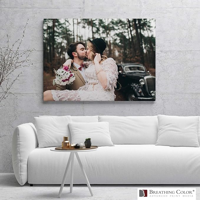 Premium Lyve Matte Canvas Sheets Professionals choice for Archival Inkjet for Use on Epson, Canon and HP printers. 17 inch x 22 inch 25sh