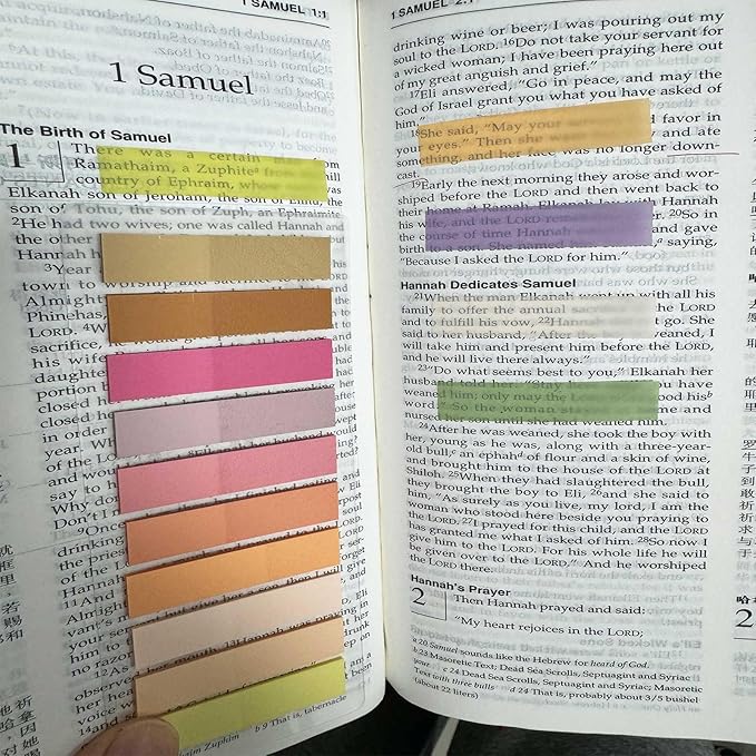 ELII 6000pcs Books Tabs for Annotating Page Tabs Morandi Sticky Index Tabs,Transparent Sticky Notes Tabs Label Stickers Index Tabs for Reading Notes, Classify File