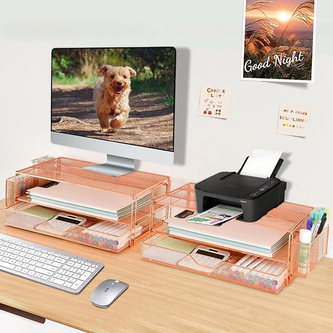 AUPSEN Computer Monitor Stands Riser，2-Tier Desk Organizers and Accessories, Office Desk Accessories Organizer with Drawers and 2 Pen Holder for Office Supplies (Rose Gold)