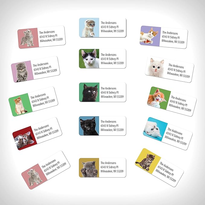 Customized Personalized Address Labels - Made in The USA by Kenco (250 Labels, Kittens)