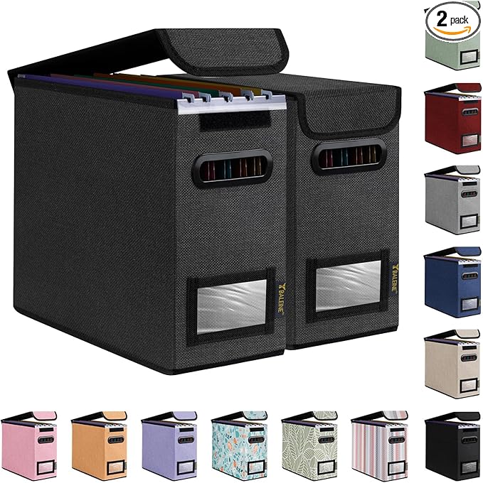 BALEINE File Organizer Box with Lid, Collapsible File Folder Organizer with Plastic Slide, Hanging File Folder Box for Office Document Storage (2 Pack, Black, S)