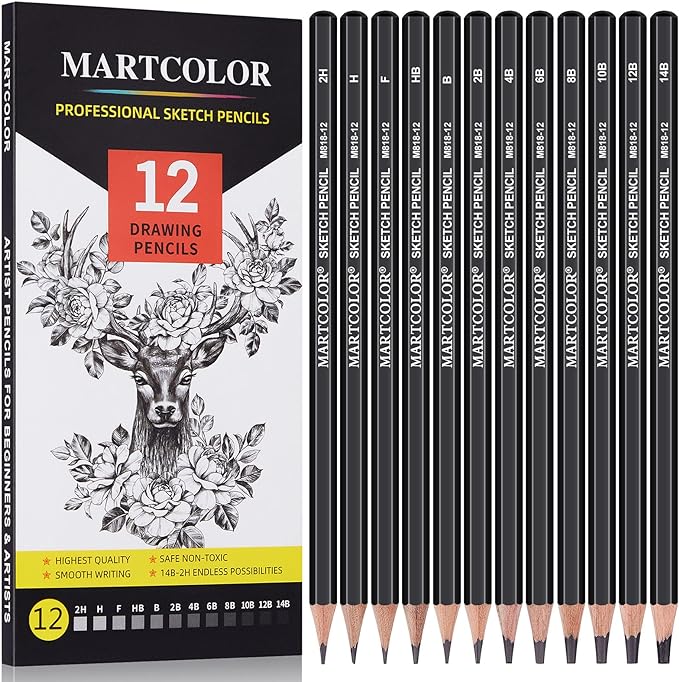 Drawing Sketching Pencils Set, 12 Pack Graphite Pencils(14B - 2H), Ideal for Drawing Art, Sketching, Shading, Artist Pencils for Beginners & Pro Artists
