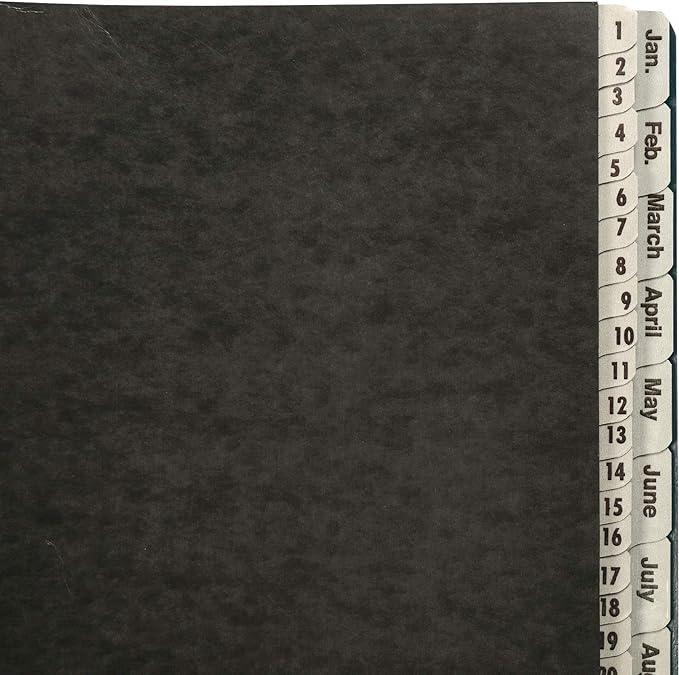 Amazon Basics Expanable Office File Sorter,Daily & Monthly File Organizer, Letter Size, Black