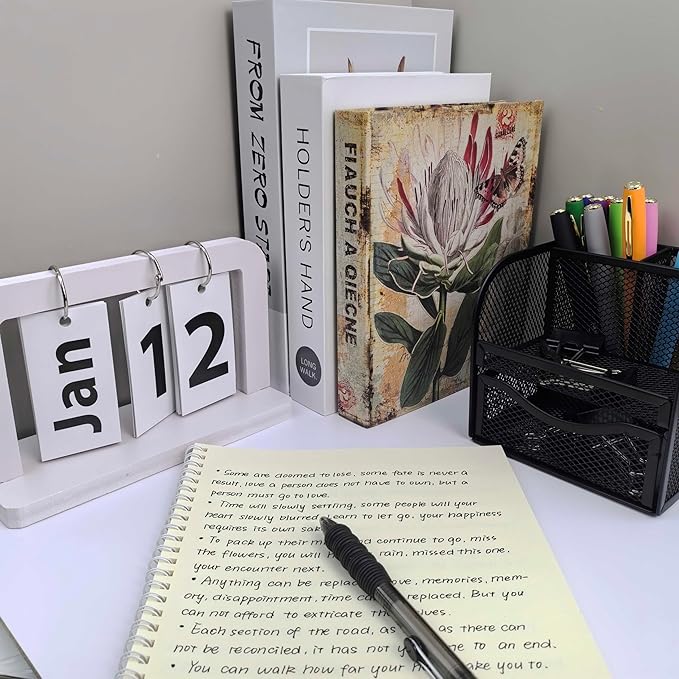 Fengtaiyuan Black Ink, 0.38mm, Retractable Gel Ink Rollerball Pens, Ultra Fine, Comfortable Grip, Easy Hold, Writting Smooth, 12 Pack (BlackZS038P12)