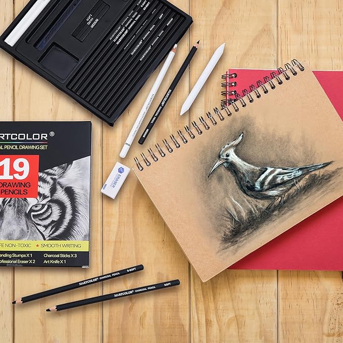 Charcoal Drawing Set, 19 Pieces, Black & White Charcoal Pencils for Drawing, Sketching, Shading, Blending, Artist Pencils for Beginners & Pro Artists