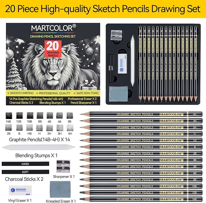 Drawing Sketching Pencil Set, 20 Pieces, Graphite Pencils (14B-4H), Charcoal Sticks, Stump, Eraser, Sharpeners, Ideal for Drawing Art, Sketching, Artist Pencils for Beginners & Pro Artists
